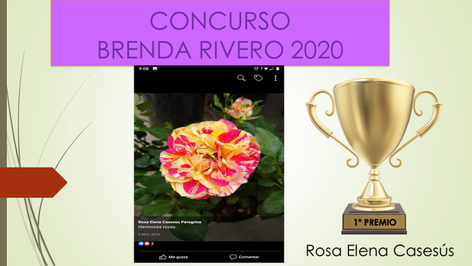 Ganadora del concurso Dª Rosa Elena Casesús